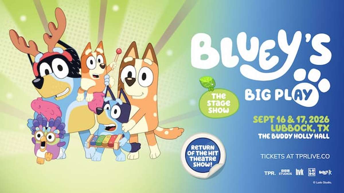 Bluey's Big Play