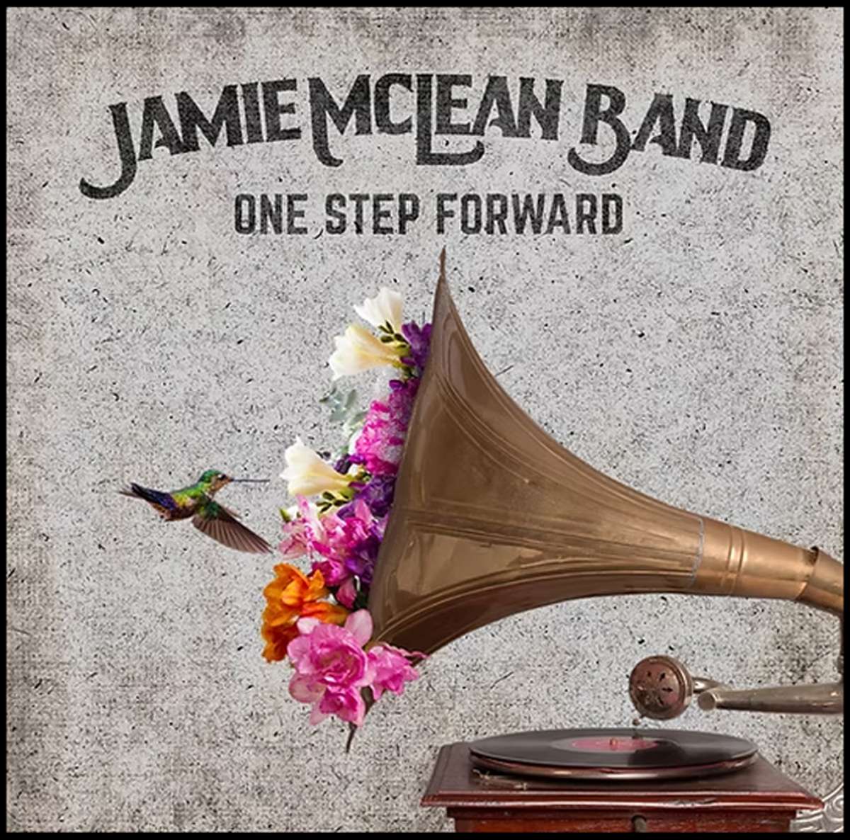 Jamie Mclean Band