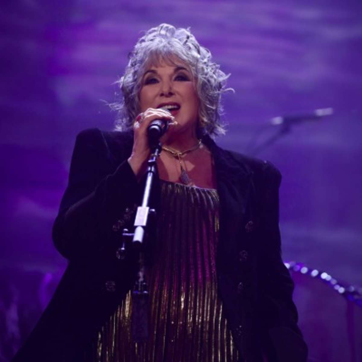 Ann Wilson: The Voice of Heart & Tripsitter