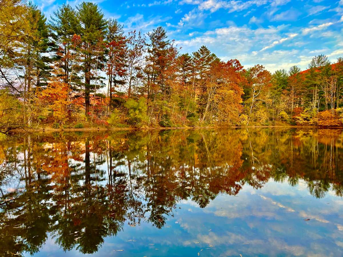 SUNDAY Day Pass - Lake Eden Reunion