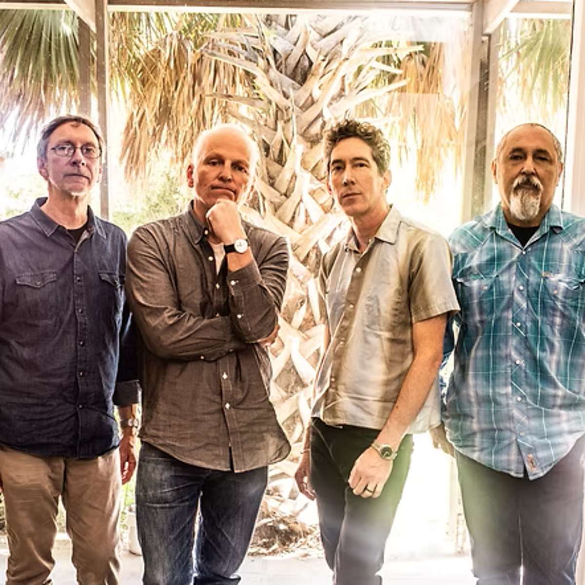 The Iguanas