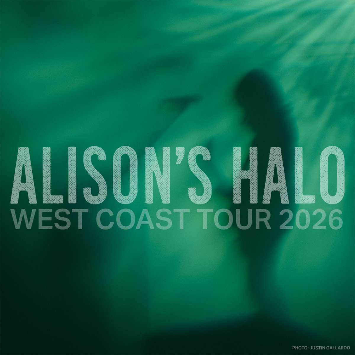 Alison’s Halo
